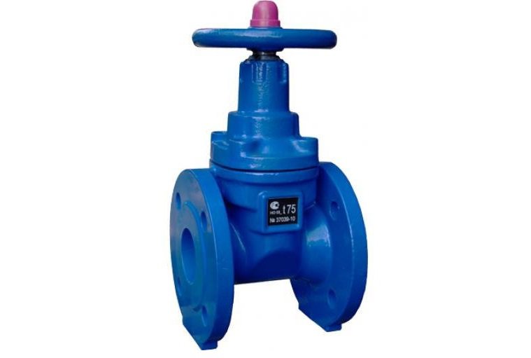 Задвижка чугунная 30ч39р (МЗВ)