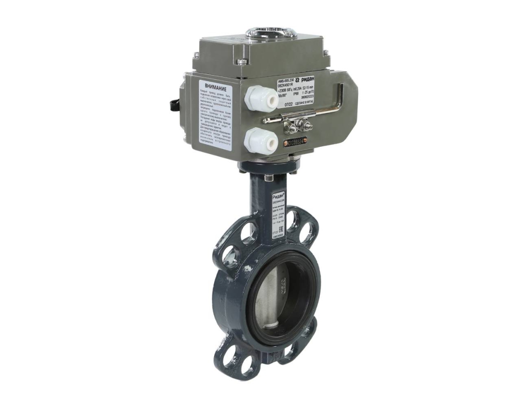 Ридан 082X4562R — Затвор дисковый PN16, DN250, диск — чугун, с электроприводом 24В Ду 250 мм