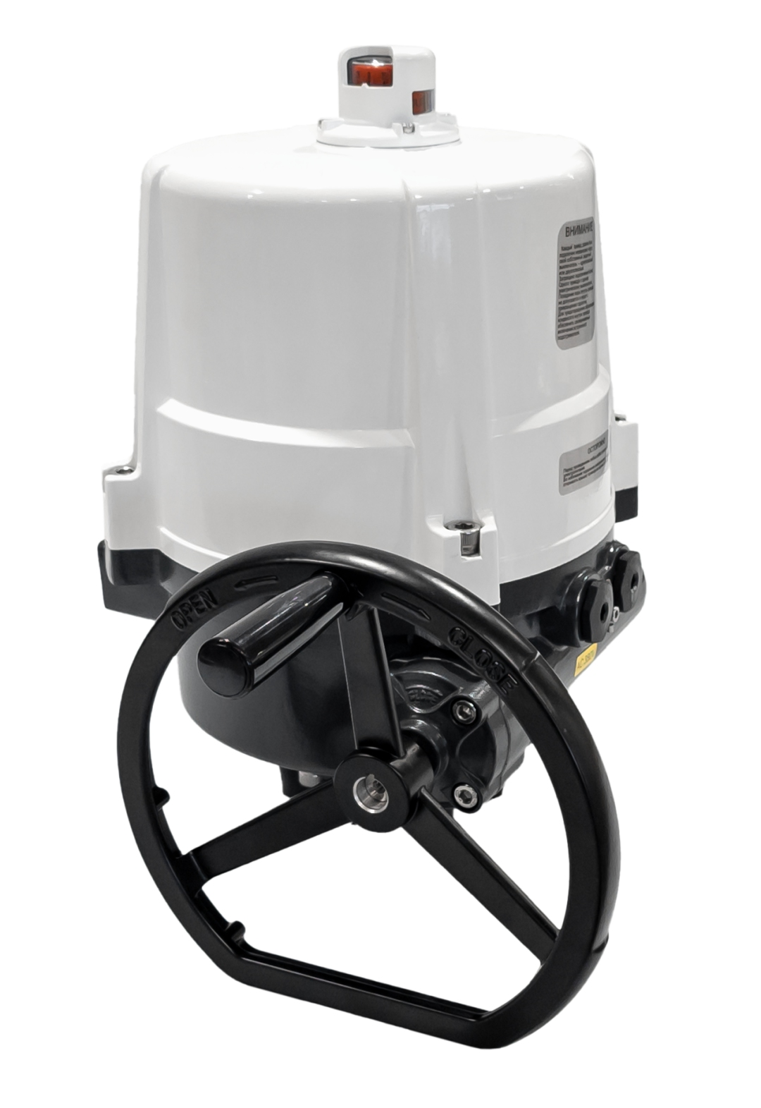 Ридан 065L8184R — Электропривод AMB-H-170 220В без блока управления; IP67; для шаровых кранов RJIP DN250 стандартный проход