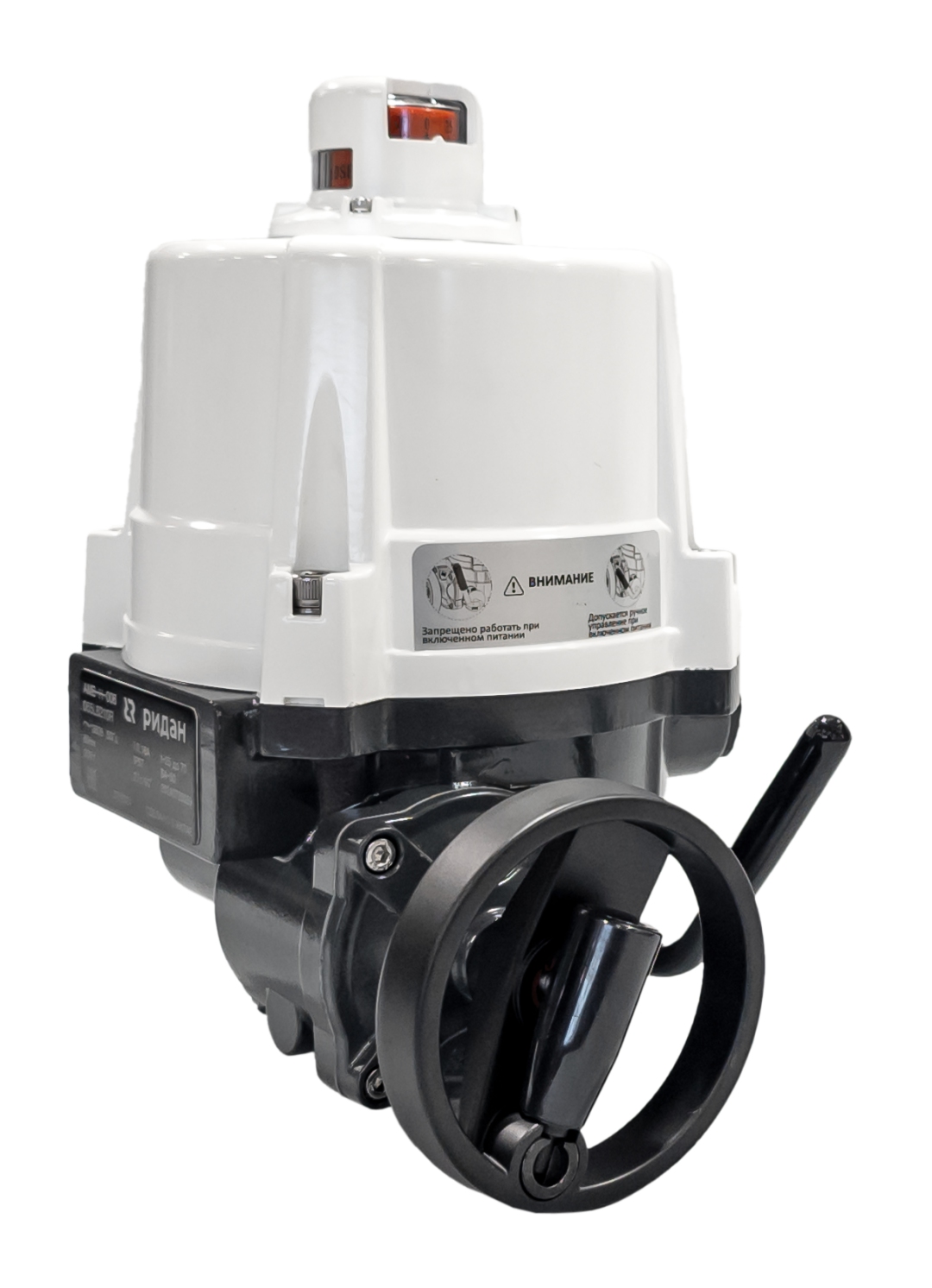 Ридан 065L8180R — Электропривод AMB-H-006 220В без блока управления; IP67; для шаровых кранов RJIP DN65 стандартный проход