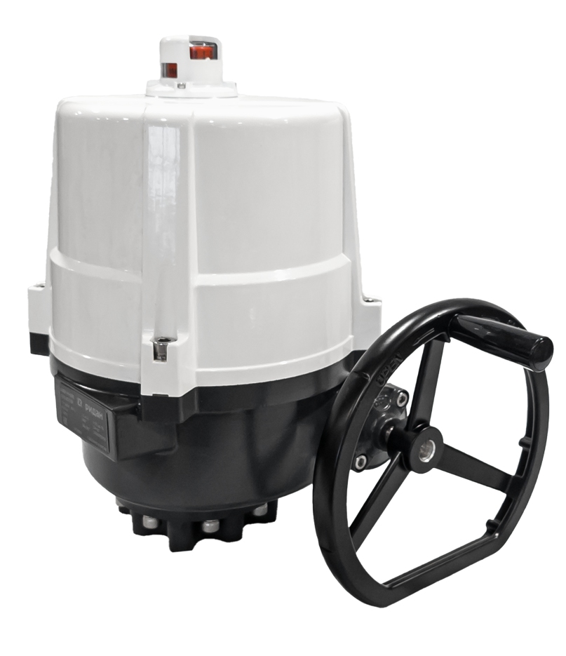 Ридан 065L8183R — Электропривод AMB-H-080 220В без блока управления; IP67; для шаровых кранов RJIP DN200 стандартный проход